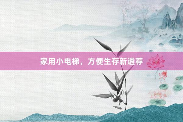 家用小电梯,方便生存新遴荐